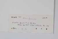 登錄號:P005544藏品圖，第2張