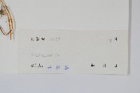 登錄號:P005553藏品圖，第2張