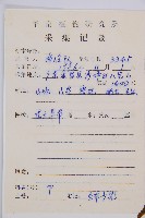 陰濕鐵角蕨藏品圖，第2張