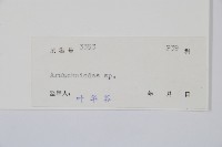 登錄號:P005566藏品圖，第2張