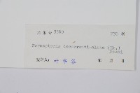 貞蕨藏品圖，第2張