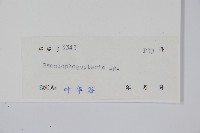 登錄號:P005571藏品圖，第2張