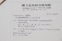 稀子蕨藏品圖，第2張