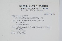 瓦葦藏品圖，第2張