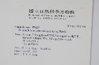 萬年松藏品圖，第2張