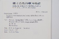 臺灣木賊藏品圖，第2張