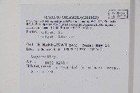 登錄號:P005599藏品圖，第2張