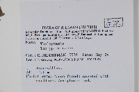 登錄號:P005600藏品圖，第2張