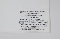 地刷子藏品圖，第2張