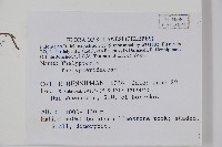 登錄號:P005604藏品圖，第2張