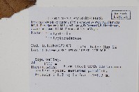 登錄號:P005605藏品圖，第2張