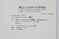 過山龍藏品圖，第2張