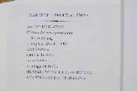 貫眾蕨藏品圖，第2張