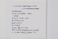 芒萁藏品圖，第2張