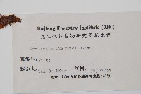 貫眾蕨藏品圖，第2張