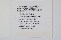 登錄號:P005666藏品圖，第2張