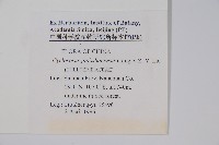 登錄號:P005670藏品圖，第2張