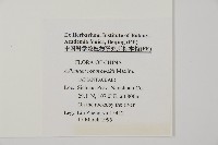 隴南鐵線蕨藏品圖，第4張