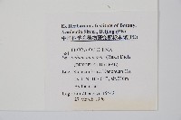 角狀耳蕨藏品圖，第2張