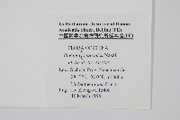 華東瘤足蕨藏品圖，第2張