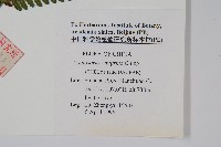 登錄號:P005702藏品圖，第2張