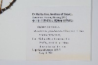 登錄號:P005706藏品圖，第2張