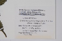 登錄號:P005707藏品圖，第2張