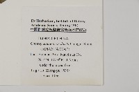 登錄號:P005708藏品圖，第2張