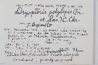 登錄號:P005716藏品圖，第2張