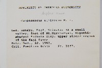 過山蕨藏品圖，第2張