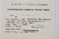 登錄號:P005718藏品圖，第2張