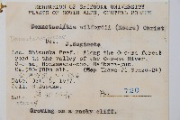 溪洞碗蕨藏品圖，第1張