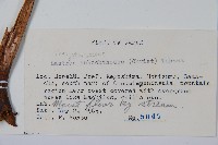 登錄號:P005735藏品圖，第2張