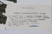 登錄號:P005736藏品圖，第2張