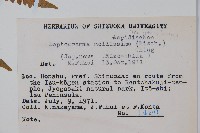 登錄號:P005739藏品圖，第2張