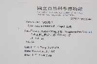 烏蕨藏品圖，第2張