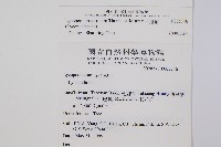 千層塔藏品圖，第2張