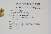 石松藏品圖，第2張