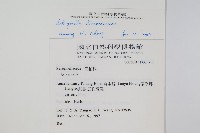 萬年松藏品圖，第2張