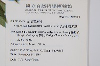 蘭嶼觀音座蓮藏品圖，第2張