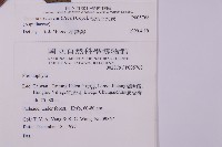 翅柄三叉蕨藏品圖，第2張