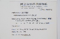 鐵角蕨藏品圖，第2張