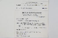 石松藏品圖，第2張