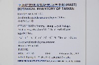 小葉複葉耳蕨藏品圖，第2張