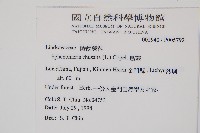 烏蕨藏品圖，第2張