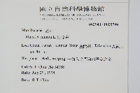 田字草藏品圖，第2張