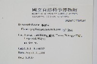 蕗蕨藏品圖，第2張