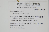 石松藏品圖，第2張