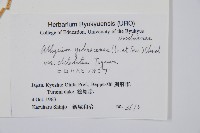 登錄號:P005811藏品圖，第2張