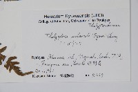 登錄號:P005814藏品圖，第2張